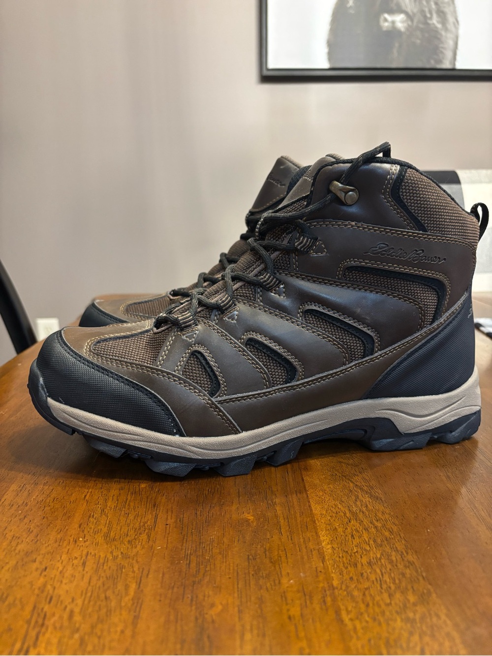 Eddie Bauer Brown and Black Men's Waterproof Hiking Boot Size 12 NEW